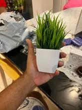 Foto enviada por cliente