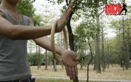 Wing chun kung furattan anel de treinamento mão ponte força kung fu artes marciais equipamento exercício anel rattan - Image 2