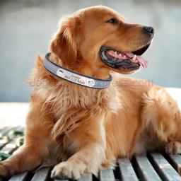 Gravar coleira reflexiva para cães, coleiras personalizadas para animais de estimação, etiqueta de identificação de gato para animais de estimação pequenos, médios e grandes, nome, número de telefone, correntes, presente para cães - Image 5