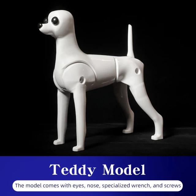 Cabeça de Treino Teddy para Esteticistas Caninos - Simulação Realista