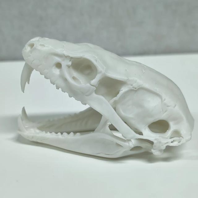 Estátua Crânio de Cobra Aterrorizante Ornamento de Mesa Decoração Casa