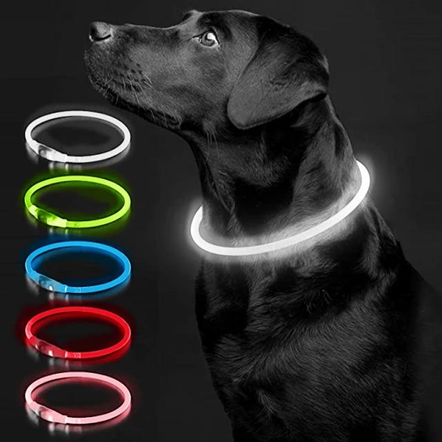 Coleira Luminosa para Cães e Gatos com LED Recarregável - Segurança e Estilo Noturno
