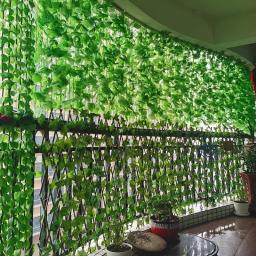Guirlanda de Folhas de Hera Verde Artificial 4/10M, Planta Falsa Pendente para Decoração de Parede de Jardim, Casamento, Festa e Casa - Image 2