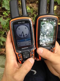 320 coleira portátil T5 do rastreador de caça dos gps do cão de estimação do anfitrião - Image 3
