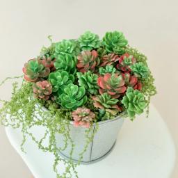 24 peças/40 peças mini ornamentos suculentos, decorações de cenas de paisagem em miniatura, decorações de modelo de mesa de areia de plantas diy - Image 4