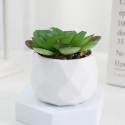 Bonsai plantas suculentas artificiais, mini simulação, evergreen, plástico, plantas falsificadas, decoração - Image 4