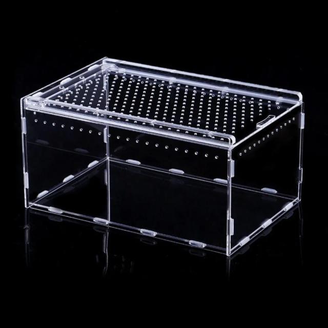 Terrário Transparente para Répteis em Acrílico - Caixa de Criação Ventilada e Segura