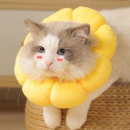 Coleira de recuperação para cães pequenos e gatos, adorável girassol após cirurgia, coleira ajustável para animais de estimação, coleira de proteção para cura de feridas - Image 5