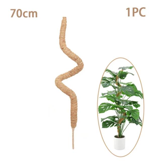 Bastão de Musgo para Plantas Trepadeiras - Suporte Flexível e Nutritivo - 1 Peça