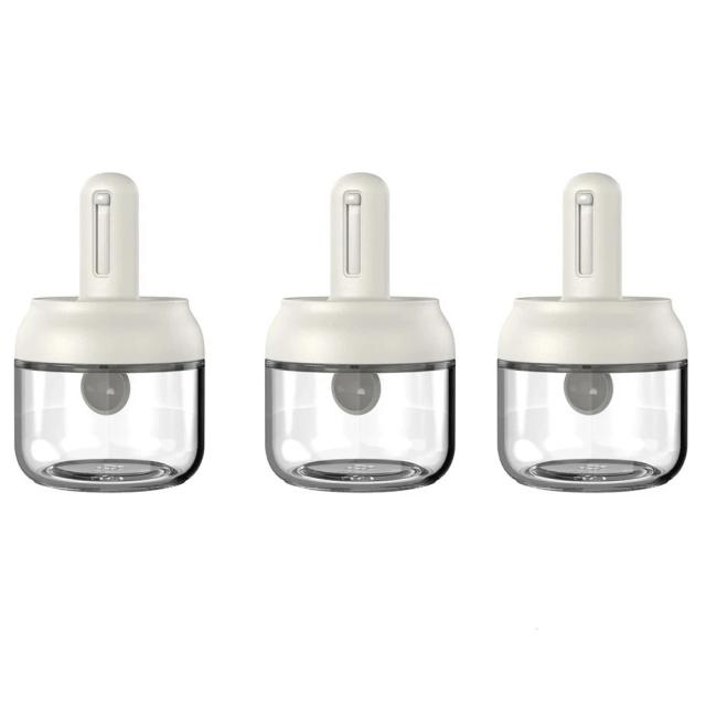 Conjunto 3 Frascos de Vidro para Temperos com Colher Telescópica e Caixa de Armazenamento