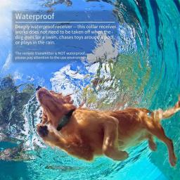 Dispositivo de Treinamento para Cães com Coleira de Vibração e Controle Remoto, Dispositivo de Vibração Eletrostática - Image 3