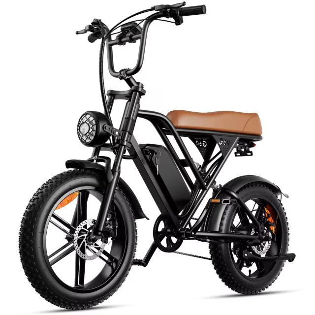 AMYET G60 Bicicleta Elétrica para 2 Pessoas 1000W 48V Montanha Adulto