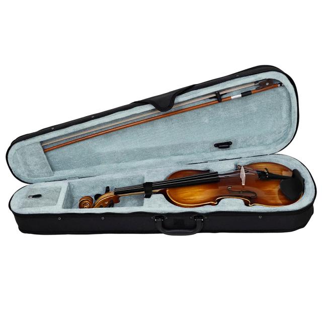 IRIN Violino Acústico 4/4 Madeira Maciça Vintage Polido à Mão