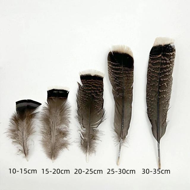 Penas de águia naturais, 10 peças, longas, grandes penas de peru para artesanato, acessórios de carnaval, decoração de casamento