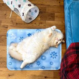 Tapete de Resfriamento para Pets com Gelo Seco, Almofada de Resfriamento para Animais de Estimação com Injeção de Água, Camas para Cães que Mantêm o Seu Pet Fresco, Impermeável e Resistente ao Desgaste para Cães e Gatos - Image 5