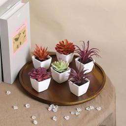 6 peças (conjunto) mini planta verde suculenta artificial bacia branca de plástico, peitoril da janela de casa, decoração de estante de mesa de restaurante - Image 4