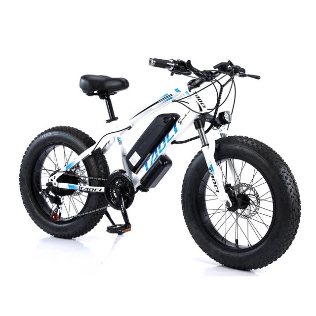Bicicleta Elétrica de Montanha com Pneus Largos 750W 48V, Bicicleta Elétrica com Pneus de 20 Polegadas e Shimano 21 Velocidades