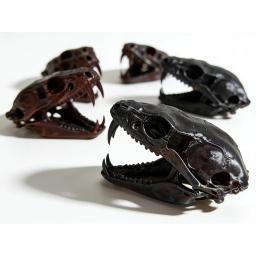Estátua de Crânio de Cobra Aterrorizante: Ornamento de Mesa de Crânio de Cobra para Decoração de Casa Incrível - Image 4