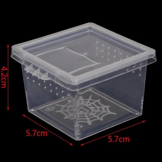 Caixa de plástico transparente para répteis, alimentação de alimentos, anti-fuga, lagarto, criação de insetos arboreal, habitat de répteis