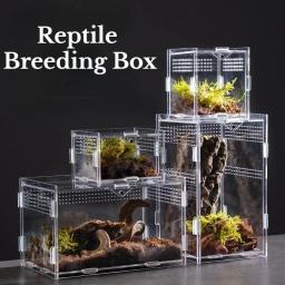 Caixa de reprodução de terrário para répteis, caixa acrílica nano arboreal tarântula, aranha, escorpião, dragão barbudo - Image 2