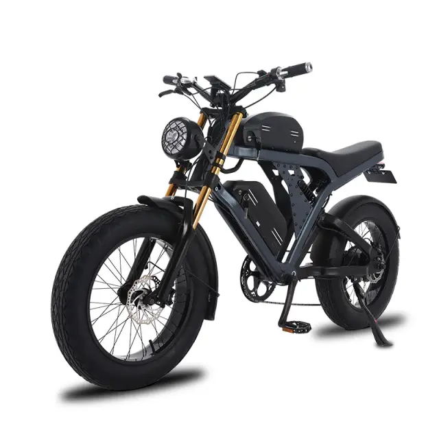 Bicicleta Elétrica com Pneus Largos 1500W 48V, Bicicleta Elétrica de Alta Velocidade de 20 Polegadas para Adultos, Leve e de Longo Alcance para Deslocamento na Cidade