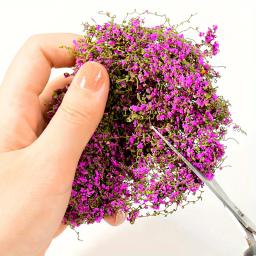 Conjunto de mini modelo de videira e flor -3 gramas/0,05 onças de plantas verdes artificiais, adequado para casas modelois, paisagismo, faça você mesmo cra - Image 1
