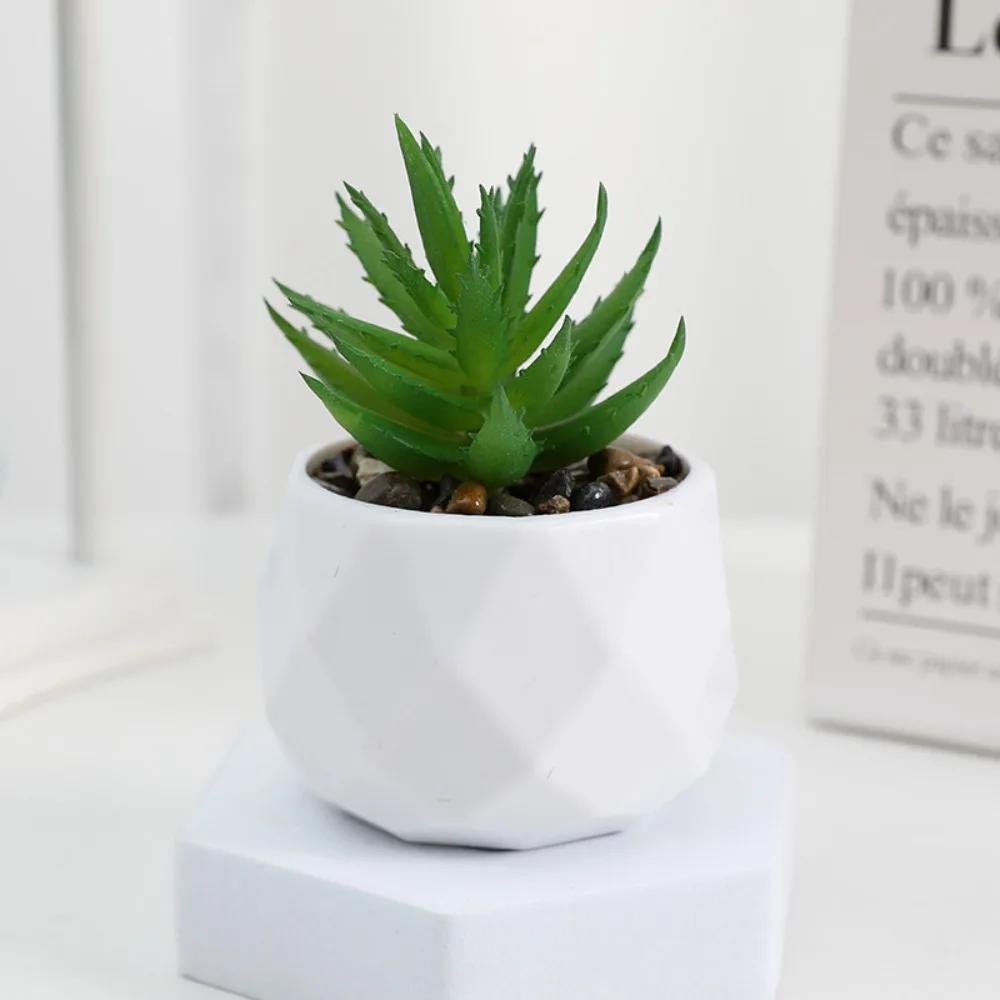 Bonsai plantas suculentas artificiais, mini simulação, evergreen, plástico, plantas falsificadas, decoração - Image 1