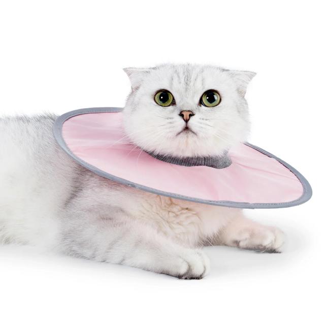 Colar recuperação impermeável para Pet, Colar ajustável para gato após cirurgia, Evitar lamber, Pet Supplies, Colar protetor