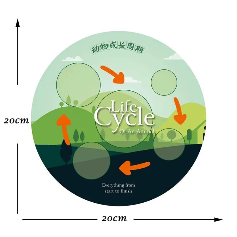 Crianças simulação biologia modelo brinquedo animal planta ciclo de crescimento da vida montessori crianças brinquedos conjunto auxiliares de ensino brinquedos educativos - Image 1