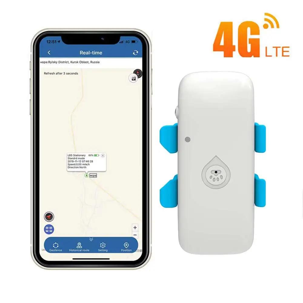 2025 cão rastreador gps gato animal de estimação 4g localizador gps 4g mini gps animais de estimação rastreador 4g gsm melhor cão rastreador gps com aplicativo gratuito à prova dip67 água ip67