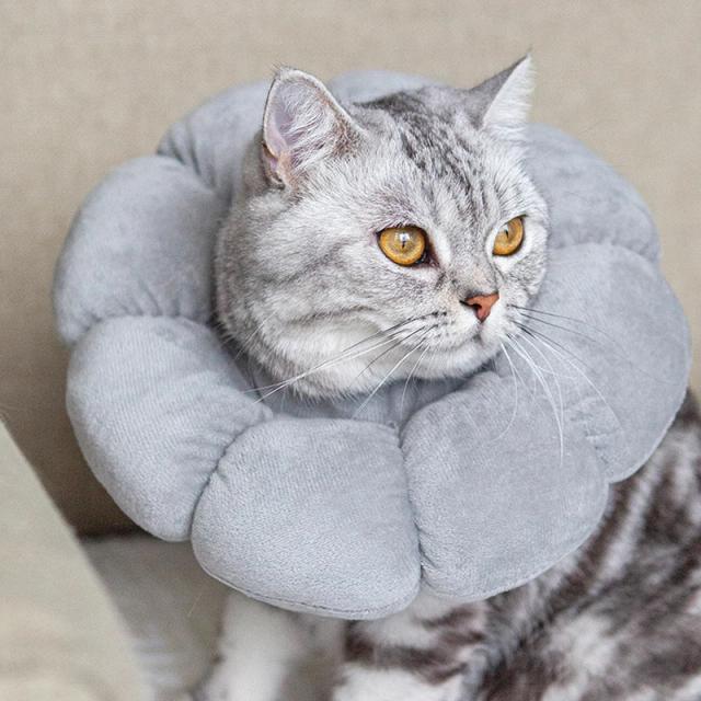 Coleira de recuperação para cães pequenos e gatos, adorável girassol após cirurgia, coleira ajustável para animais de estimação, coleira de proteção para cura de feridas