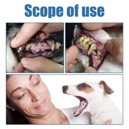 Spray Removedor de Tártaro Oral para Animais de Estimação, Limpeza Profunda, Elimina Dentes Amarelados, Combate Mau Hálito, Hálito Fresco, Clareador de Dentes, Espuma de Limpeza Oral para Animais de Estimação - Image 6