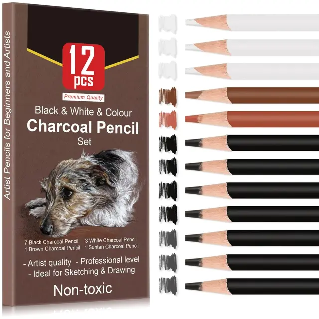 Lápis de Carbono Profissional Branco Carvão Destaque Lápis Branco/Preto/Cor Esboço Arte Desenho Ferramentas