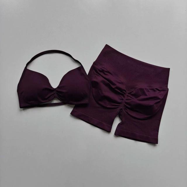Conjunto de Yoga Feminino Respirável Secagem Rápida Cintura Alta Levanta Bumbum