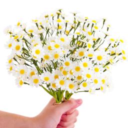 12-48PCS Flores Artificiais de Margarida, Pequenas Flores Falsas para Decoração de Mesa em Casamentos e Festas, DIY Decoração para Casa - Image 2