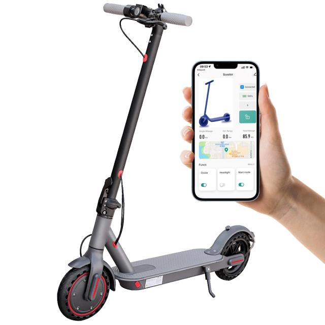 LADPED Scooter Elétrico LP80 350W 10.5Ah - Domine a Cidade