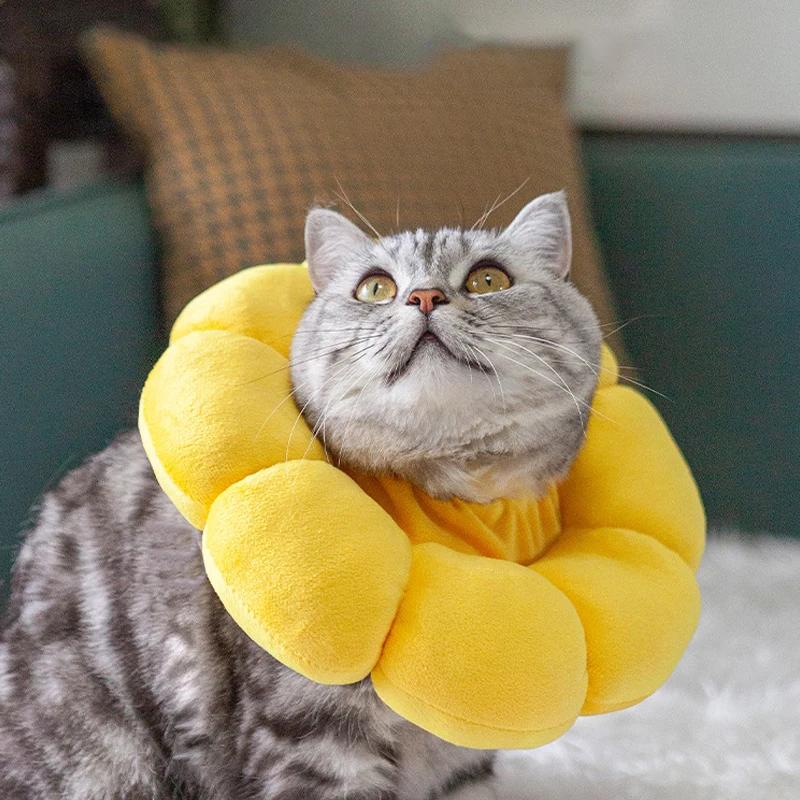 Coleira de recuperação para cães pequenos e gatos, adorável girassol após cirurgia, coleira ajustável para animais de estimação, coleira de proteção para cura de feridas - Image 1