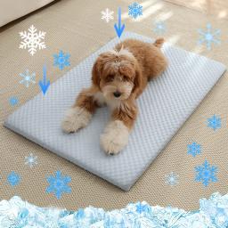 Novo Tapete Refrescante de Seda Gelada para Verão, Almofada Grossa e Respirável para Cães, Antiderrapante e Lavável, Lençol Refrescante para Cães e Gatos de Porte Médio e Grande - Image 1