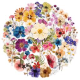 50/200 pçs transparente pet flor planta material adesivos manuais comprimidos telefone copos de água decoração estacionária caderno adesivos - Image 3