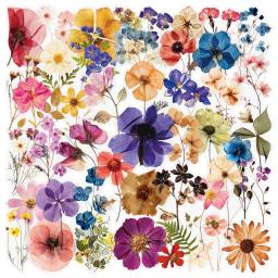 50/200 pçs transparente pet flor planta material adesivos manuais comprimidos telefone copos de água decoração estacionária caderno adesivos - Image 1