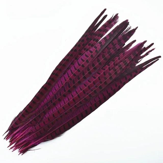 Penas Naturais Faisão Ringneck 40-45cm para Artesanato e Decoração