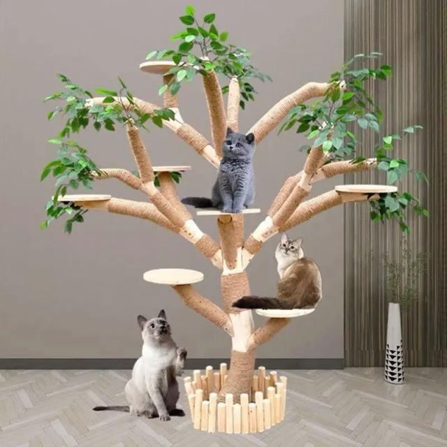 Torre de Escalada para Gatos Família Grande - Madeira Maciça e Sisal Natural
