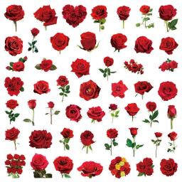 50/200 pçs transparente pet flor planta material adesivos manuais comprimidos telefone copos de água decoração estacionária caderno adesivos - Image 4