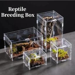 Caixa de reprodução de terrário para répteis, caixa acrílica nano arboreal tarântula, aranha, escorpião, dragão barbudo - Image 1