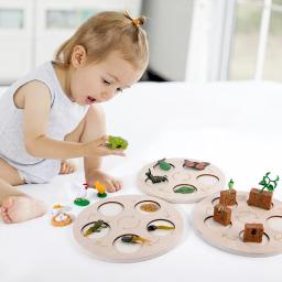 Crianças simulação biologia modelo brinquedo animal planta ciclo de crescimento da vida montessori crianças brinquedos conjunto auxiliares de ensino brinquedos educativos - Image 2