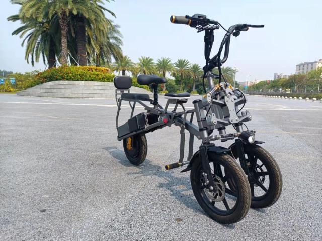 Triciclo Elétrico Dobrável 14'' 500W 48V Bateria Dupla 2 Assentos
