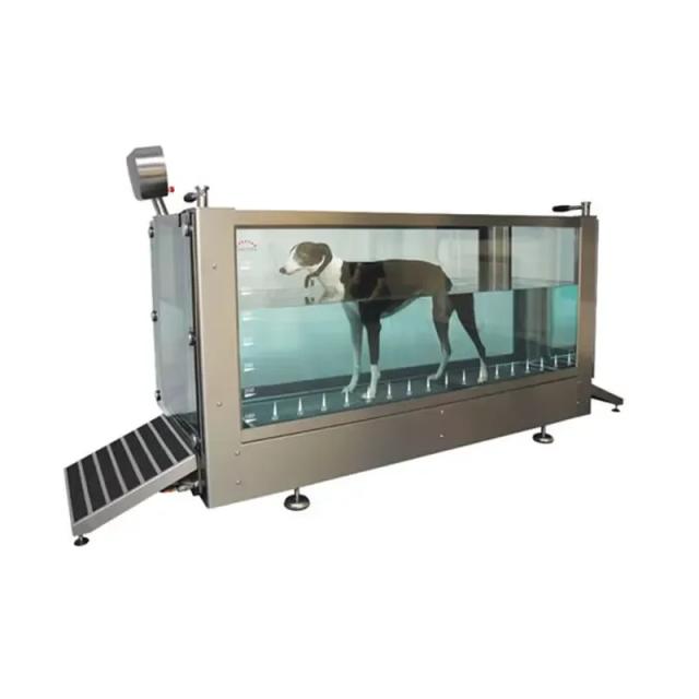 Esteira Subaquática para Cães - Hidroterapia Profissional em Aço Inoxidável