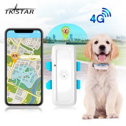 Rastreador gps para cães e gatos, tkstar tk911, localizador global de gprs para animais de estimação, 2g, 4g, tk911pro, posicionamento de alta precisão, reprodução de rota histórica - Image 1