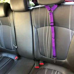1pc pet cão e gato cinto de segurança encosto de cabeça do carro contenção ajustável corda de segurança cinto de segurança do carro acessórios para cães pequenos - Image 2