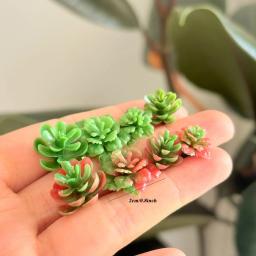 24 peças/40 peças mini ornamentos suculentos, decorações de cenas de paisagem em miniatura, decorações de modelo de mesa de areia de plantas diy - Image 3